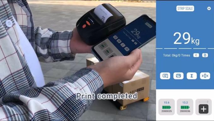 Đường cân thanh không dây, Đường cân pallet được chứng nhận 4,5 tấn Đường cân thanh 10